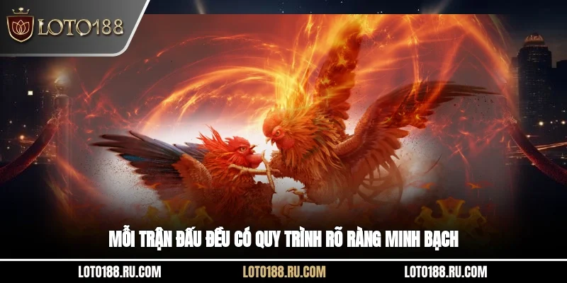 Mỗi trận đấu đều có quy trình rõ ràng, minh bạch